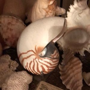 Meet your Posher, Vickie